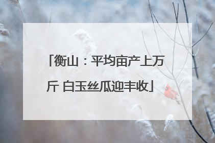 衡山：平均亩产上万斤 白玉丝瓜迎丰收