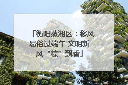 衡阳蒸湘区：移风易俗过端午 文明新风“粽”飘香