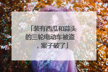 装有西瓜和蒜头的三轮电动车被盗，案子破了