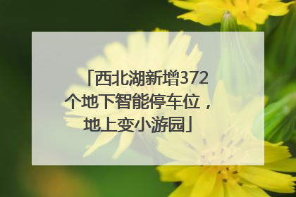 西北湖新增372个地下智能停车位，地上变小游园