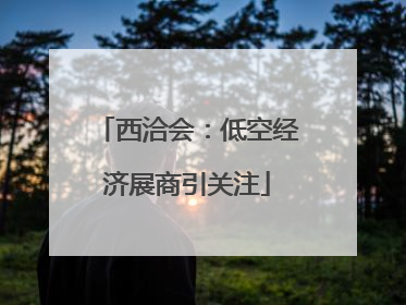 西洽会：低空经济展商引关注