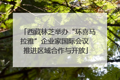 西藏林芝举办“环喜马拉雅”企业家国际会议 推进区域合作与开放