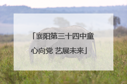 襄阳第三十四中童心向党 艺展未来