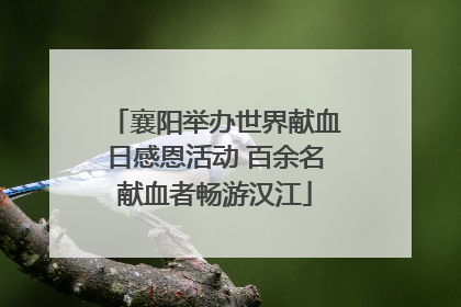 襄阳举办世界献血日感恩活动 百余名献血者畅游汉江