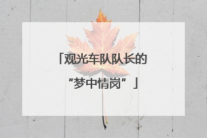 观光车队队长的“梦中情岗”