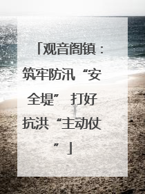 观音阁镇：筑牢防汛“安全堤” 打好抗洪“主动仗”