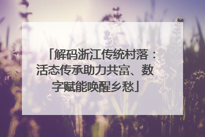 解码浙江传统村落：活态传承助力共富、数字赋能唤醒乡愁