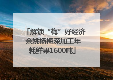 解锁“梅”好经济 余姚杨梅深加工年耗鲜果1600吨