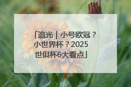 追光｜小号欧冠？小世界杯？2025世俱杯6大看点