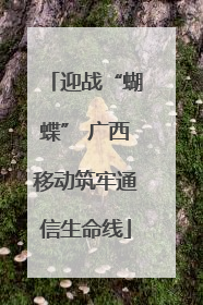 迎战“蝴蝶” 广西移动筑牢通信生命线