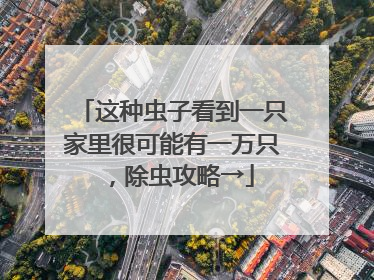 这种虫子看到一只家里很可能有一万只，除虫攻略→