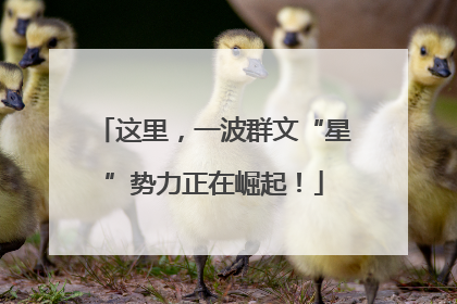 这里，一波群文“星”势力正在崛起！