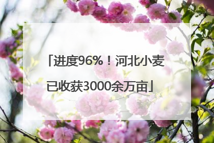 进度96%！河北小麦已收获3000余万亩