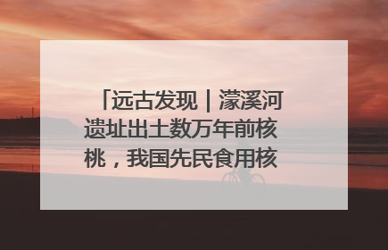 远古发现｜濛溪河遗址出土数万年前核桃，我国先民食用核桃历史大幅提前