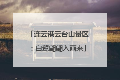 连云港云台山景区：白鹭翩翩入画来