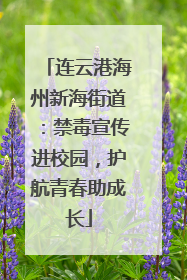 连云港海州新海街道：禁毒宣传进校园，护航青春助成长