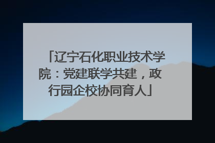辽宁石化职业技术学院：党建联学共建，政行园企校协同育人