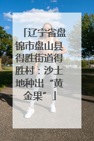 辽宁省盘锦市盘山县得胜街道得胜村：沙土地种出“黄金果”