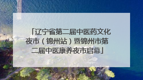 辽宁省第二届中医药文化夜市（锦州站）暨锦州市第二届中医康养夜市启幕