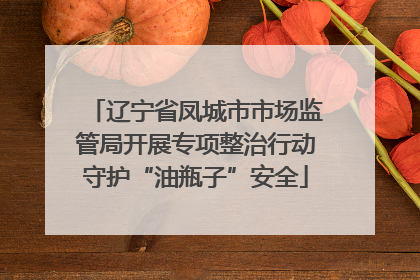 辽宁省凤城市市场监管局开展专项整治行动守护“油瓶子”安全