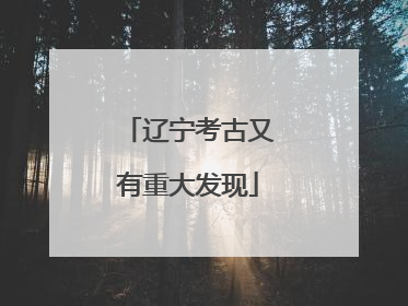 辽宁考古又有重大发现