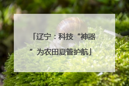 辽宁：科技“神器”为农田夏管护航