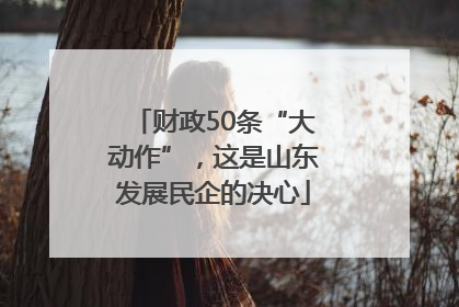 财政50条“大动作”，这是山东发展民企的决心