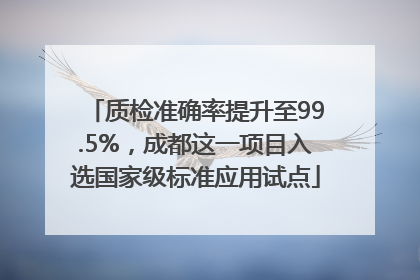 质检准确率提升至99.5%，成都这一项目入选国家级标准应用试点