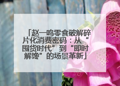 赵一鸣零食破解碎片化消费密码：从“囤货时代”到“即时解馋”的场景革新