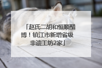 赵氏二胡和恒顺醋博！镇江市新增省级非遗工坊2家