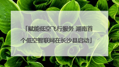 赋能低空飞行服务 湖南首个低空智联网在长沙县启动