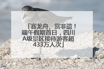 赛龙舟、赏非遗！端午假期首日，四川A级景区接待游客超433万人次