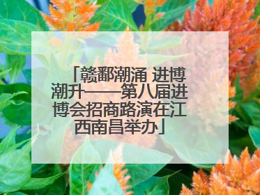 赣鄱潮涌 进博潮升——第八届进博会招商路演在江西南昌举办