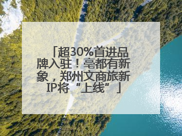 超30%首进品牌入驻！亳都有新象，郑州文商旅新IP将“上线”