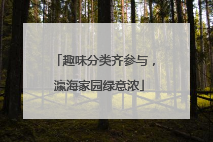 趣味分类齐参与，瀛海家园绿意浓