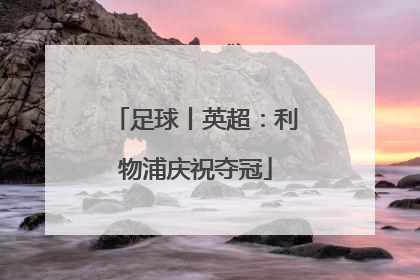 足球丨英超：利物浦庆祝夺冠