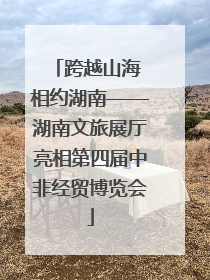 跨越山海 相约湖南——湖南文旅展厅亮相第四届中非经贸博览会