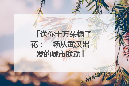 送你十万朵栀子花：一场从武汉出发的城市联动
