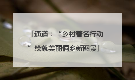 通道：“乡村著名行动”绘就美丽侗乡新图景