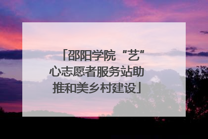邵阳学院“艺”心志愿者服务站助推和美乡村建设