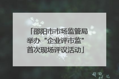 邵阳市市场监管局举办“企业评市监”首次现场评议活动