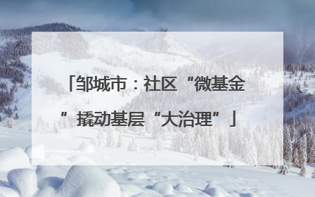 邹城市：社区“微基金”撬动基层“大治理”