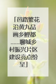 邑路繁花 沿黄九品 画乡鲤都……聊城乡村振兴片区建设亮点纷呈