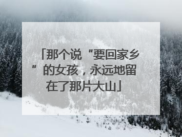 那个说“要回家乡”的女孩，永远地留在了那片大山