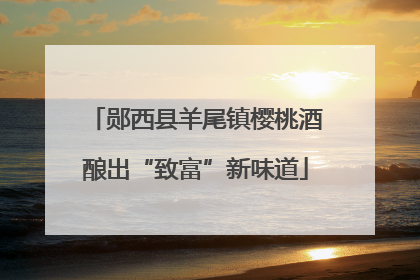 郧西县羊尾镇樱桃酒酿出“致富”新味道