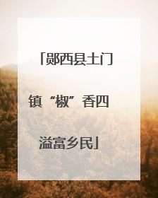 郧西县土门镇“椒”香四溢富乡民