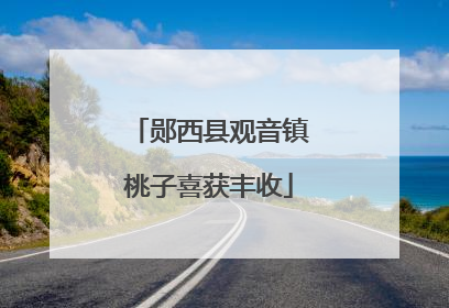 郧西县观音镇桃子喜获丰收