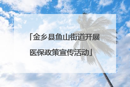 金乡县鱼山街道开展医保政策宣传活动