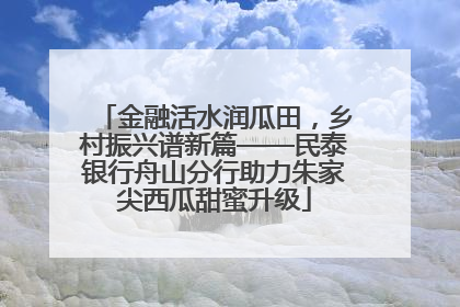 金融活水润瓜田，乡村振兴谱新篇——民泰银行舟山分行助力朱家尖西瓜甜蜜升级