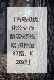 青岛拟优化公交75路等5条线路 拟停运37路、K20路
